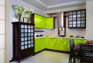 A combinação de cor verde clara em modernos interiores modernos: 185+ (Foto) Design para a cozinha, sala de estar, quarto