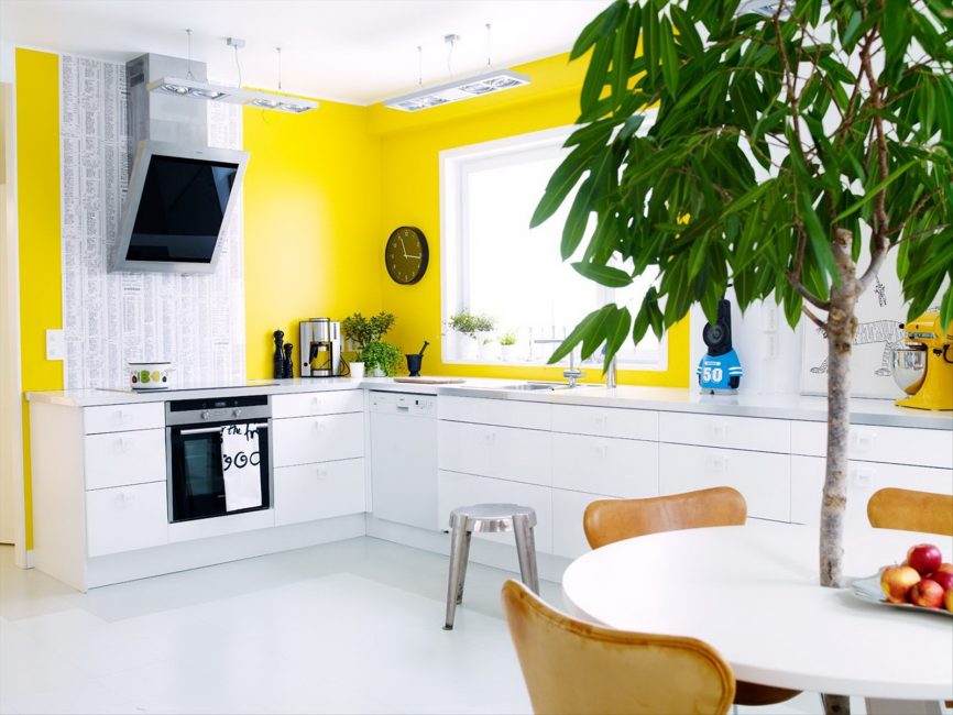 O branco é um clássico, perfeito para qualquer decoração.