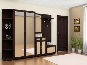 Wenge no interior: 160+ (foto) combinações de cores com mobiliário (design da sala de estar, quarto, corredor)
