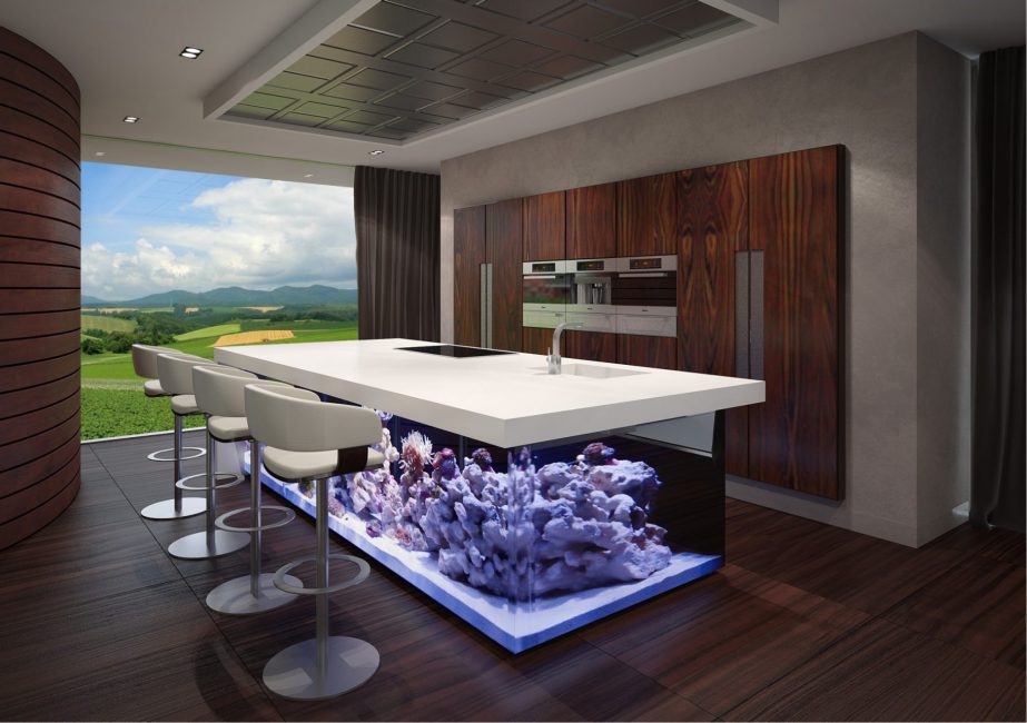 Aquário na mesa - interessante e incomum