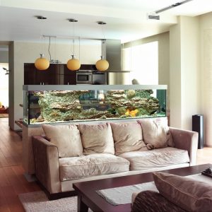Aquário no interior de um apartamento ou casa: 145+ (Foto) tipos de decoração de seu design (canto, seco, parede divisória, pequeno)