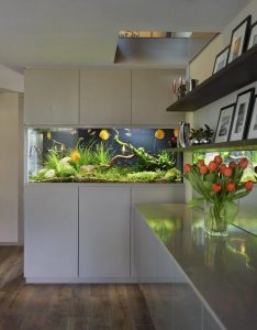 Aquário no interior de um apartamento ou casa: 145+ (Foto) tipos de decoração de seu design (canto, seco, parede divisória, pequeno)