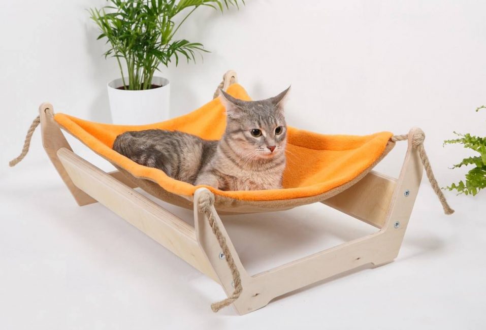 Rede de casa para gatos