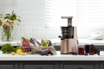 Especialização suculenta - TOP-10 Melhores Juicers. Procurar modelos populares em 2018 (+ comentários)