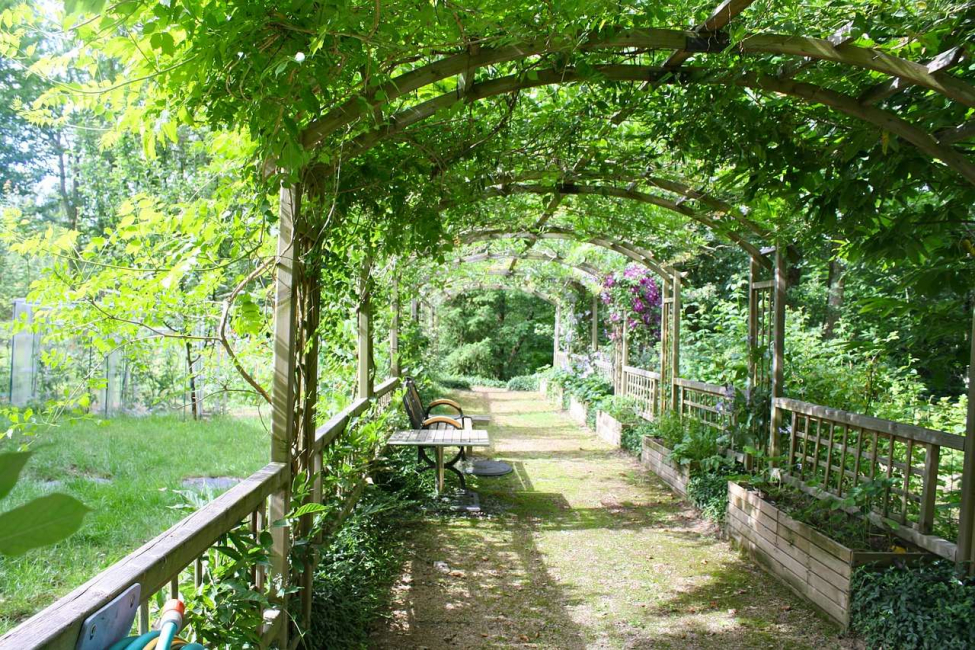 Pergola na casa de campo usada para escalar colheitas