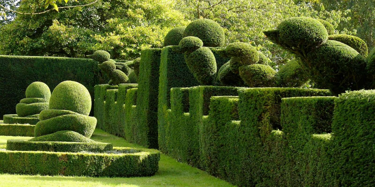 Formas geométricas para o seu jardim