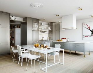 Idéias de design de cozinha em uma casa particular: mais de 130 fotos e opções de layout