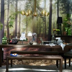 Como olhar o papel de parede de foto 3D na parede: mais de 225 fotos de interiores incríveis