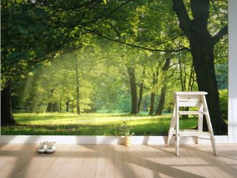 Como olhar o papel de parede de foto 3D na parede: mais de 225 fotos de interiores incríveis