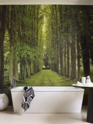 Como olhar o papel de parede de foto 3D na parede: mais de 225 fotos de interiores incríveis