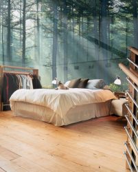 Como olhar o papel de parede de foto 3D na parede: mais de 225 fotos de interiores incríveis