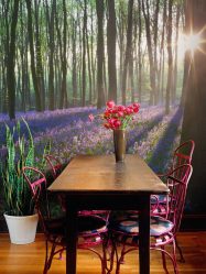 Como olhar o papel de parede de foto 3D na parede: mais de 225 fotos de interiores incríveis