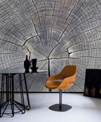 Como olhar o papel de parede de foto 3D na parede: mais de 225 fotos de interiores incríveis