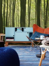 Como olhar o papel de parede de foto 3D na parede: mais de 225 fotos de interiores incríveis