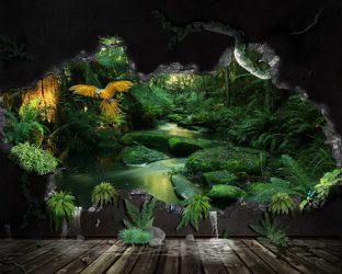 Como olhar o papel de parede de foto 3D na parede: mais de 225 fotos de interiores incríveis
