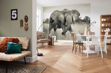Como olhar o papel de parede de foto 3D na parede: mais de 225 fotos de interiores incríveis