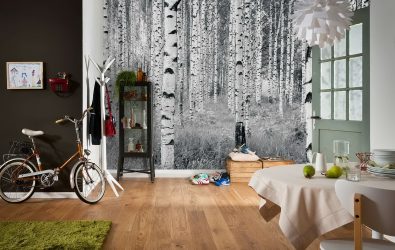 Como olhar o papel de parede de foto 3D na parede: mais de 225 fotos de interiores incríveis