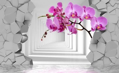 Como olhar o papel de parede de foto 3D na parede: mais de 225 fotos de interiores incríveis