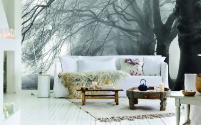 Como olhar o papel de parede de foto 3D na parede: mais de 225 fotos de interiores incríveis
