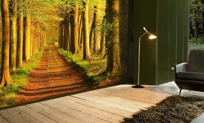 Como olhar o papel de parede de foto 3D na parede: mais de 225 fotos de interiores incríveis