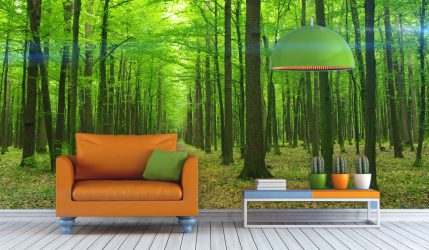 Como olhar o papel de parede de foto 3D na parede: mais de 225 fotos de interiores incríveis