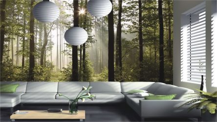 Como olhar o papel de parede de foto 3D na parede: mais de 225 fotos de interiores incríveis