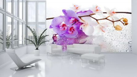 Como olhar o papel de parede de foto 3D na parede: mais de 225 fotos de interiores incríveis