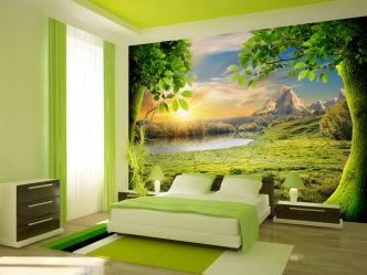Como olhar o papel de parede de foto 3D na parede: mais de 225 fotos de interiores incríveis