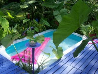 Como fazer uma piscina na casa de campo As mãos (mais de 165 fotos)? Frame, indoor, concrete - Qual é o melhor?
