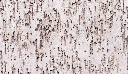 Decorar com gesso decorativo no interior (mais de 150 fotos) - Tecnologia acessível a todos