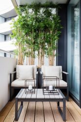Decoração varanda em Khrushchev: 225 + (Foto) - Idéias para fazer belos desenhos