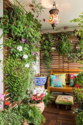 Decoração varanda em Khrushchev: 225 + (Foto) - Idéias para fazer belos desenhos