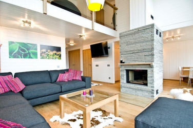 O design interior da moradia em estilo moderno: 155+ (foto) projetos para a sala de estar, cozinha, pátio