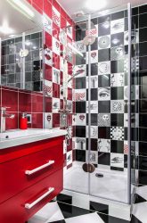 Projeto do banheiro em uma casa de madeira (mais de 200 fotos): decoração DIY (teto, piso, paredes)