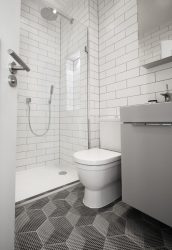 Projeto do banheiro em uma casa de madeira (mais de 200 fotos): decoração DIY (teto, piso, paredes)