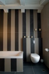 Projeto do banheiro em uma casa de madeira (mais de 200 fotos): decoração DIY (teto, piso, paredes)