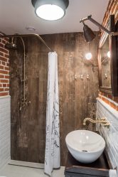 Projeto do banheiro em uma casa de madeira (mais de 200 fotos): decoração DIY (teto, piso, paredes)