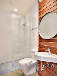 Projeto do banheiro em uma casa de madeira (mais de 200 fotos): decoração DIY (teto, piso, paredes)