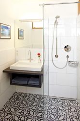 Projeto do banheiro em uma casa de madeira (mais de 200 fotos): decoração DIY (teto, piso, paredes)