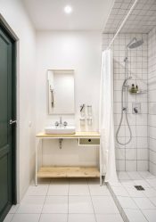 Projeto do banheiro em uma casa de madeira (mais de 200 fotos): decoração DIY (teto, piso, paredes)