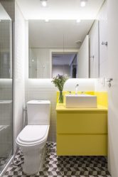 Projeto do banheiro em uma casa de madeira (mais de 200 fotos): decoração DIY (teto, piso, paredes)