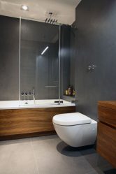 Projeto do banheiro em uma casa de madeira (mais de 200 fotos): decoração DIY (teto, piso, paredes)