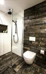 Projeto do banheiro em uma casa de madeira (mais de 200 fotos): decoração DIY (teto, piso, paredes)