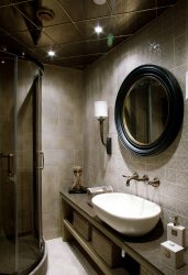 Projeto do banheiro em uma casa de madeira (mais de 200 fotos): decoração DIY (teto, piso, paredes)