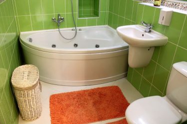 Projeto do banheiro em uma casa de madeira (mais de 200 fotos): decoração DIY (teto, piso, paredes)
