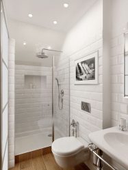 Projeto do banheiro em uma casa de madeira (mais de 200 fotos): decoração DIY (teto, piso, paredes)
