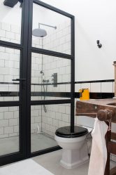 Projeto do banheiro em uma casa de madeira (mais de 200 fotos): decoração DIY (teto, piso, paredes)