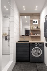 Projeto do banheiro em uma casa de madeira (mais de 200 fotos): decoração DIY (teto, piso, paredes)