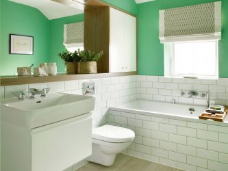 Projeto do banheiro em uma casa de madeira (mais de 200 fotos): decoração DIY (teto, piso, paredes)