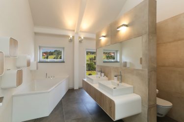 Projeto do banheiro em uma casa de madeira (mais de 200 fotos): decoração DIY (teto, piso, paredes)